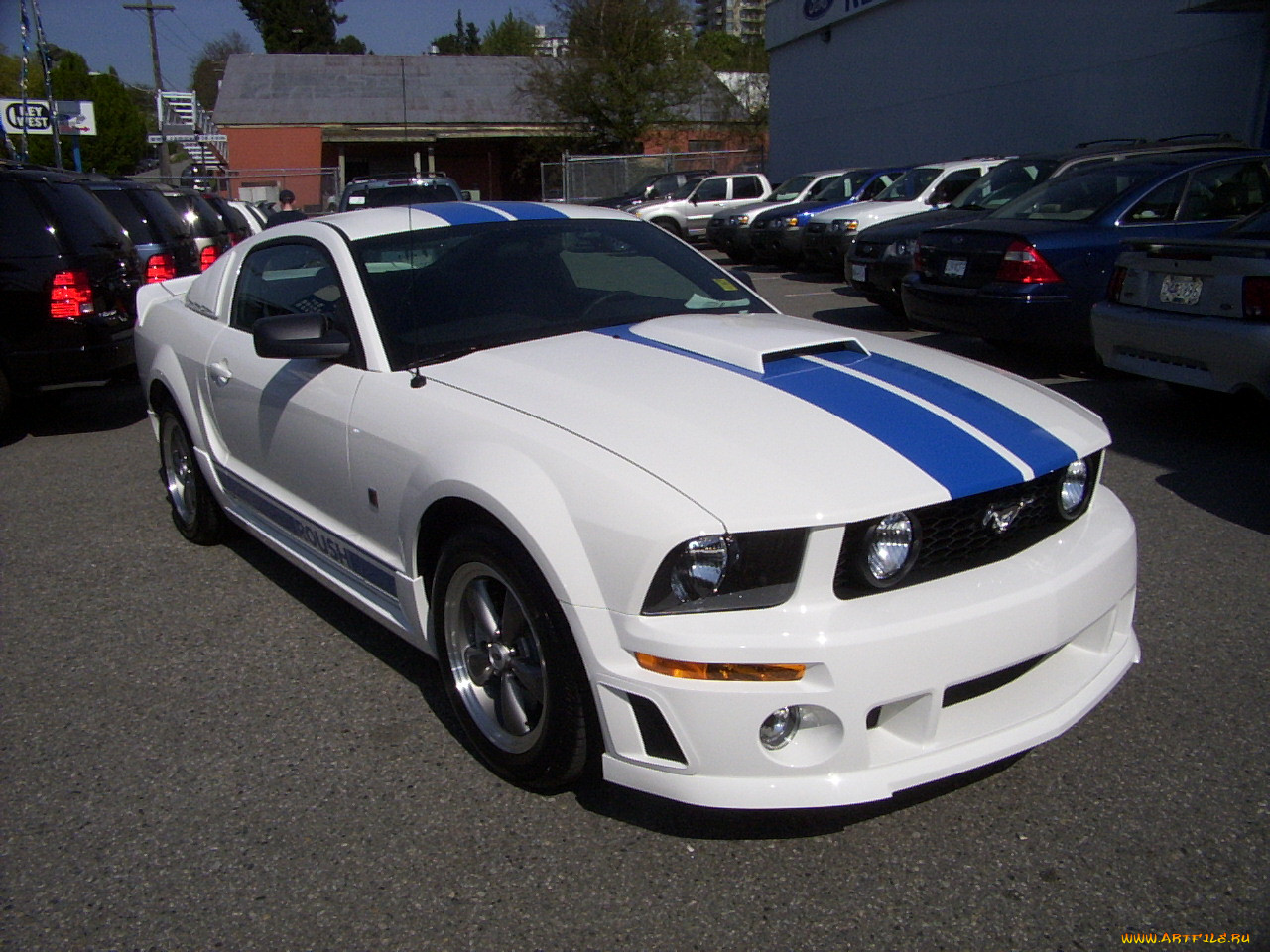 mustang, 2005, gt, , ford